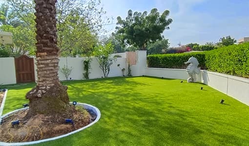 Artificial grass lawn compared to natural grass in a UAE villa garden
