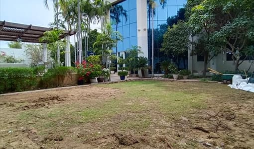 Before, Rooftop terrace, Balcony grass before and after, Dubai Marina