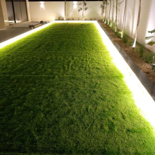 Fake turf lawn in Al Quoz — Al Quoz, Dubai