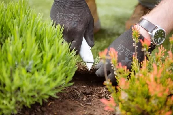Detailed inspection of artificial grass seams and edging