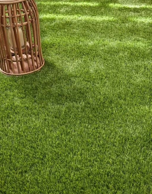 Cape Verde Fake Grass