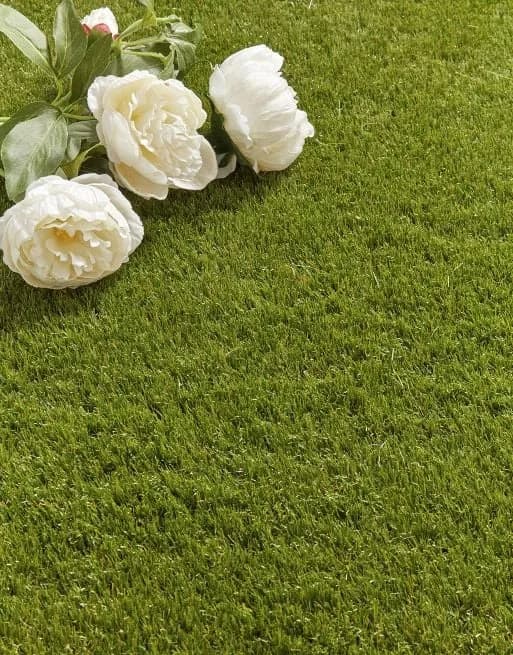 St Martin Turf